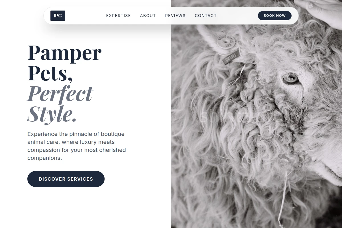 Boutique Animal Care