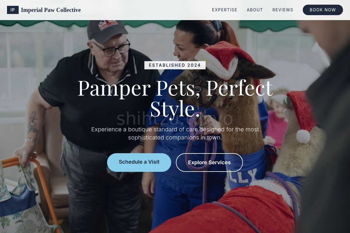 Boutique Animal Care