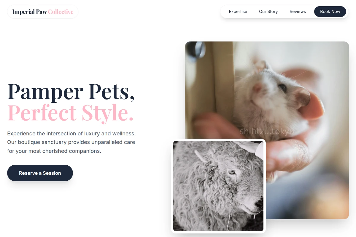 Tail Animal Care