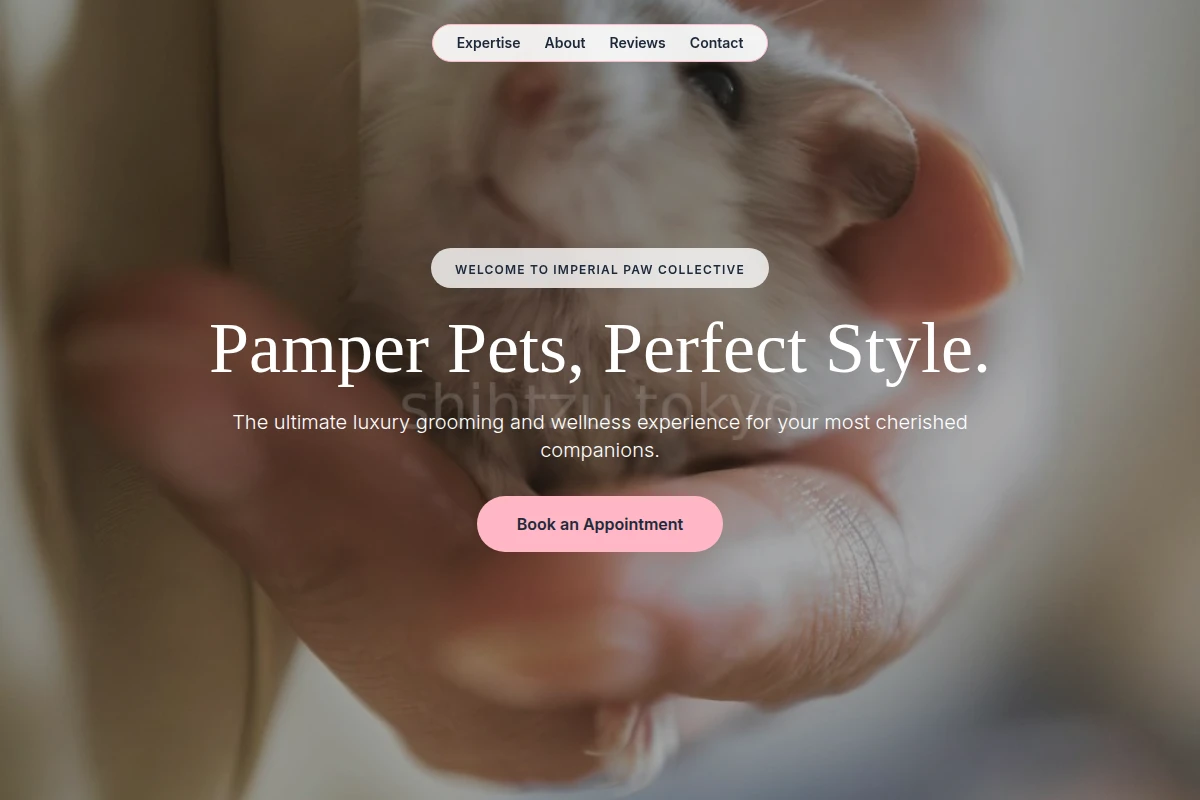Collar Animal Care