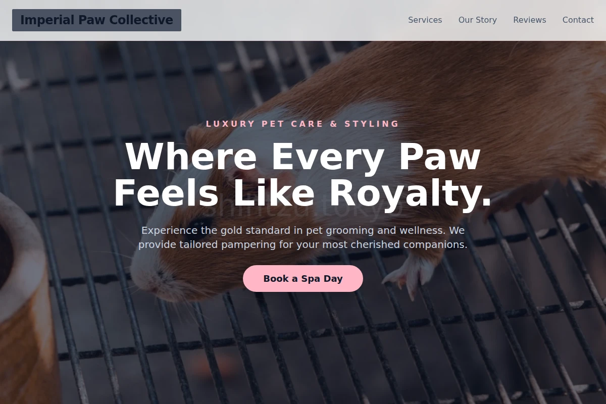 Meow Animal Care