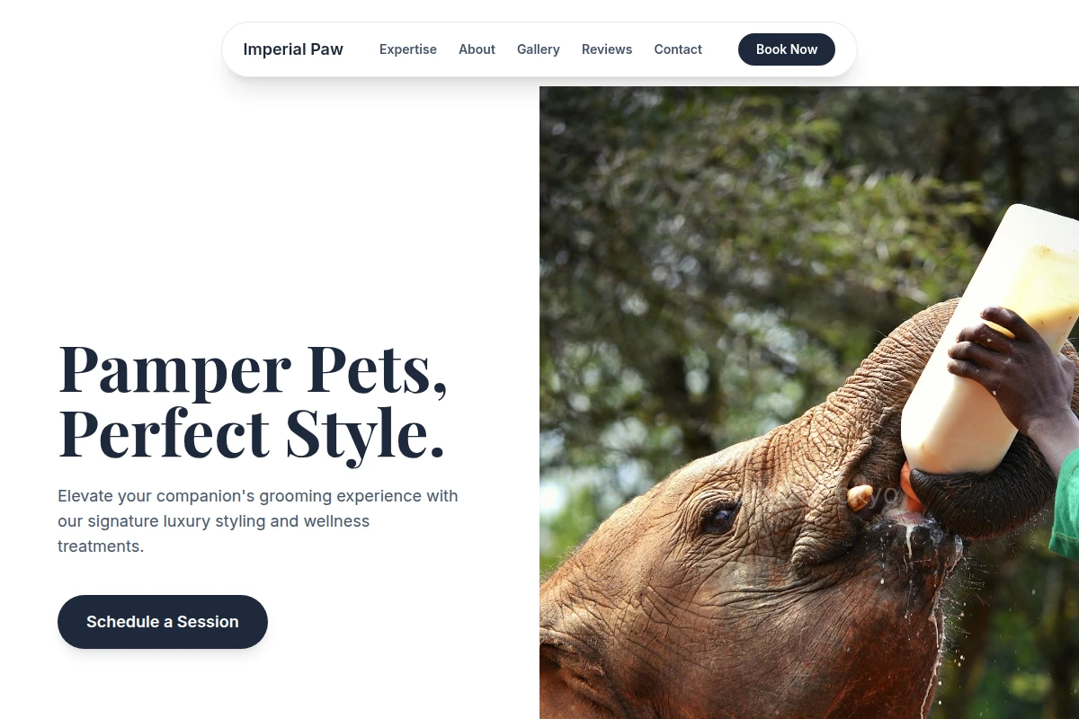 Tail Animal Care