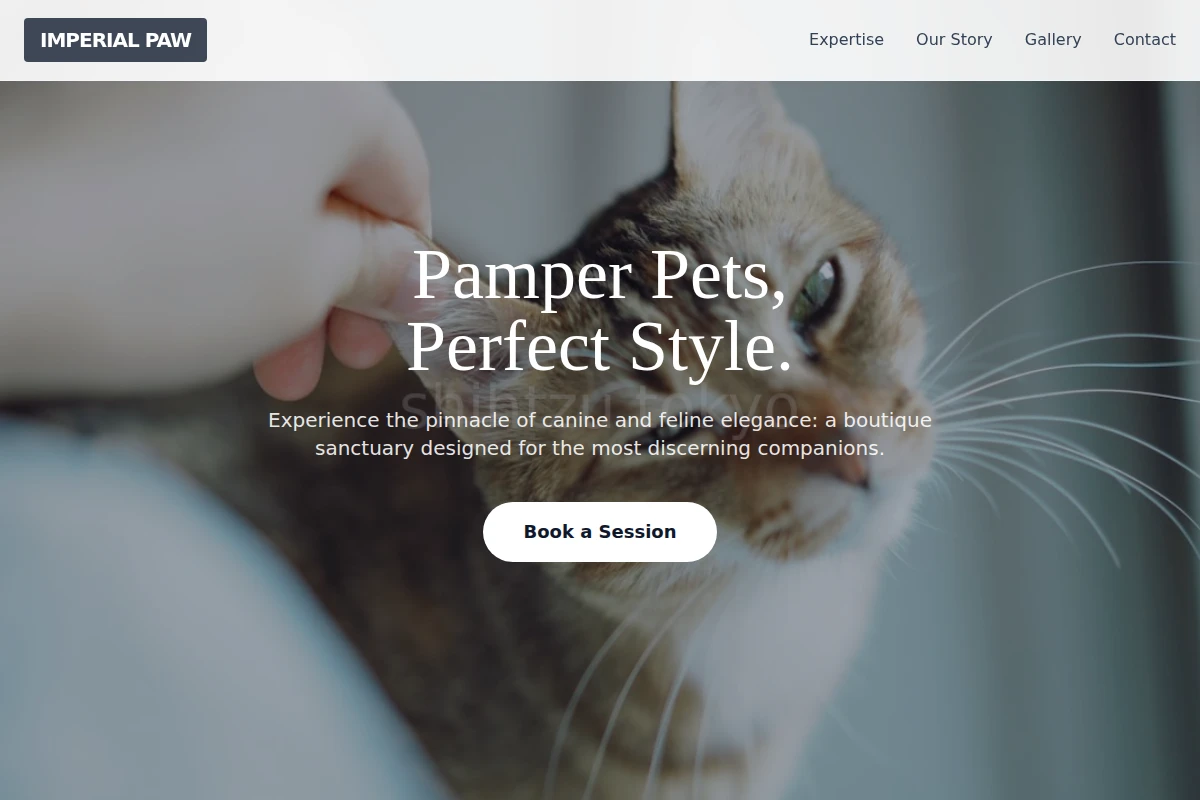 Collar Animal Care