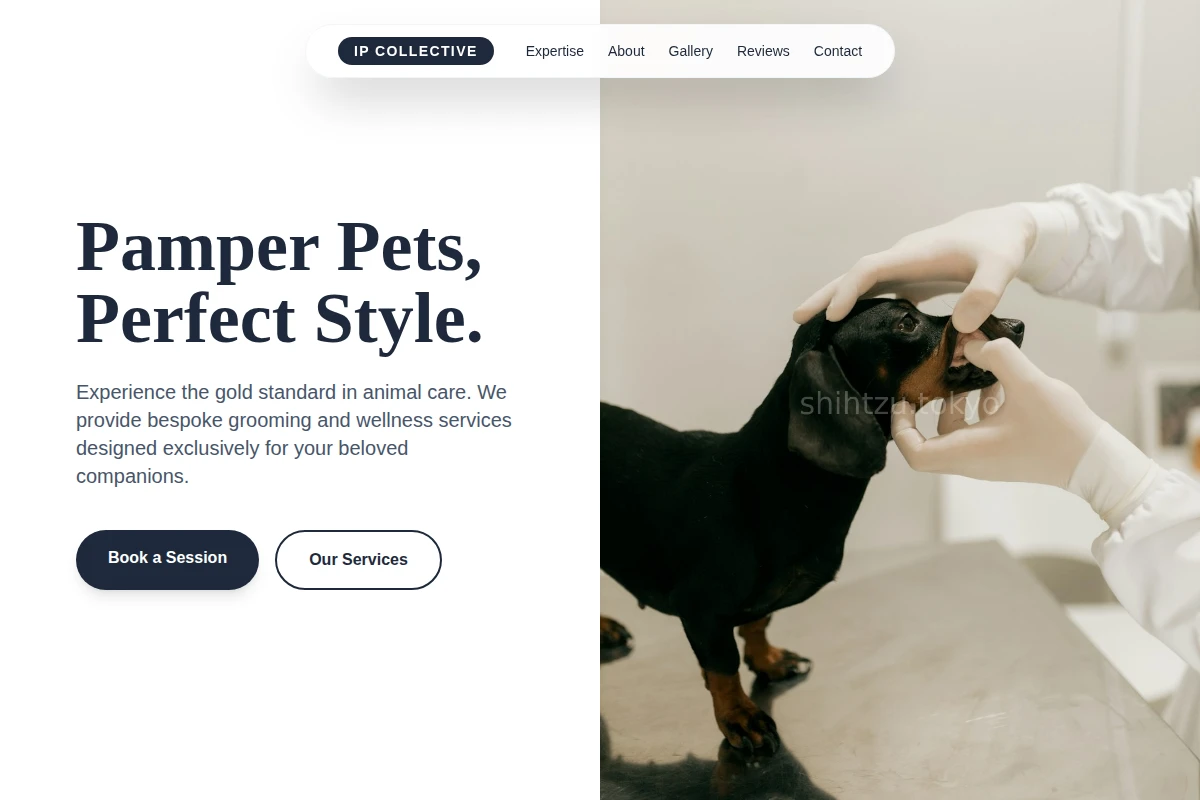 Bow Animal Care