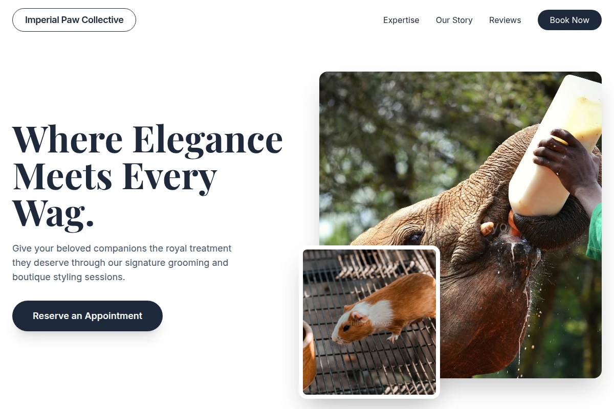 Tail Animal Care