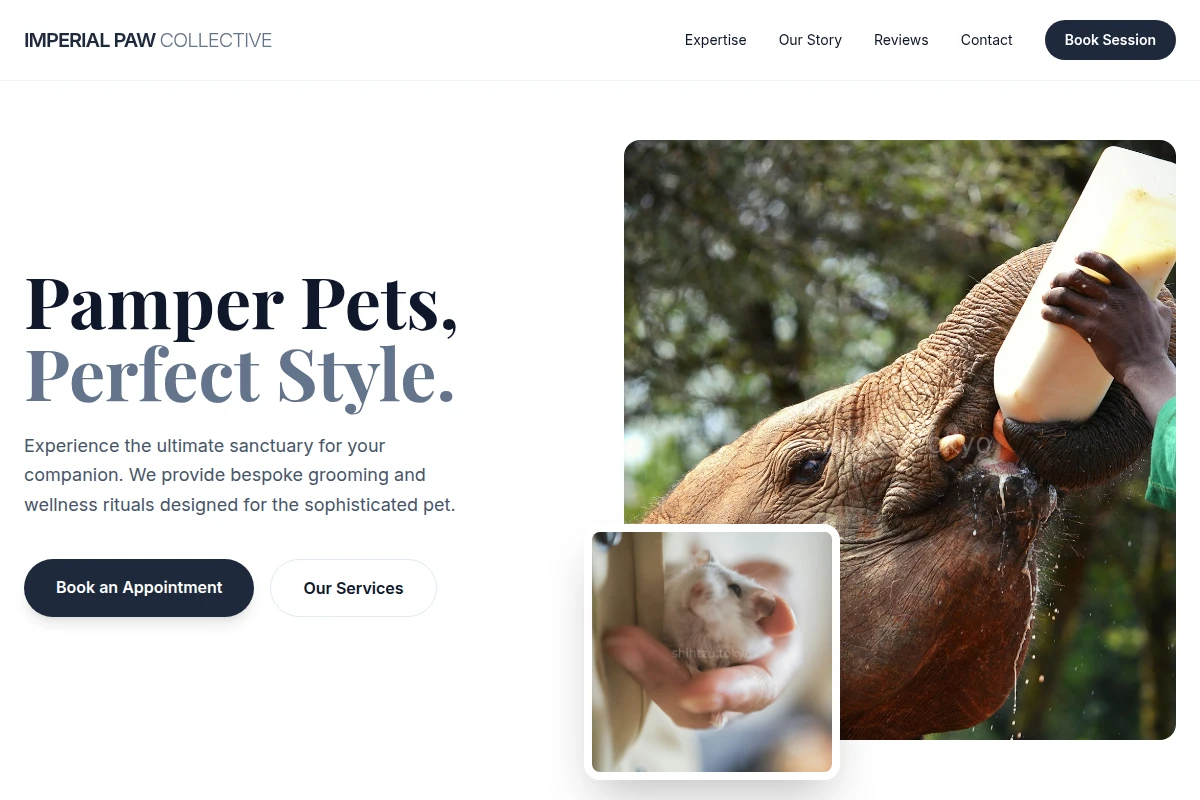 PetSpa Animal Care