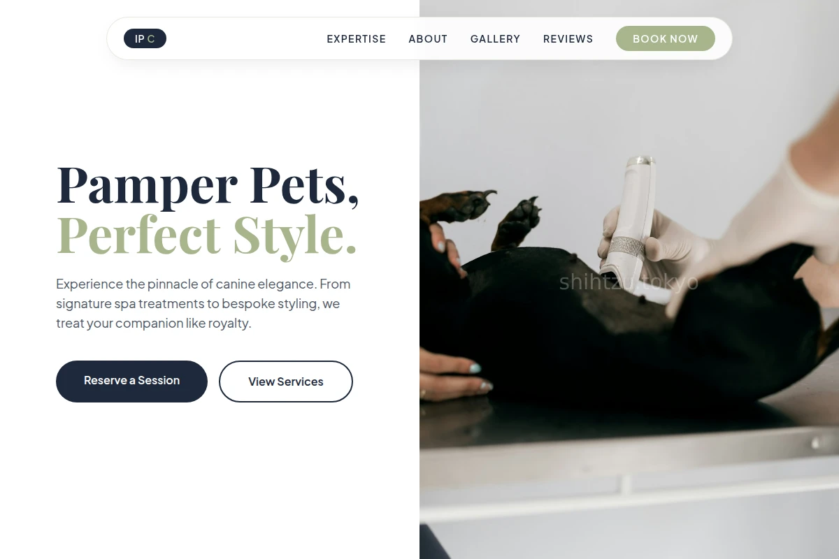 Paw Animal Care