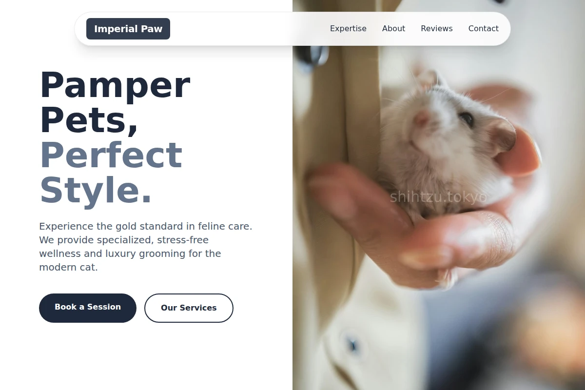 Feline Animal Care