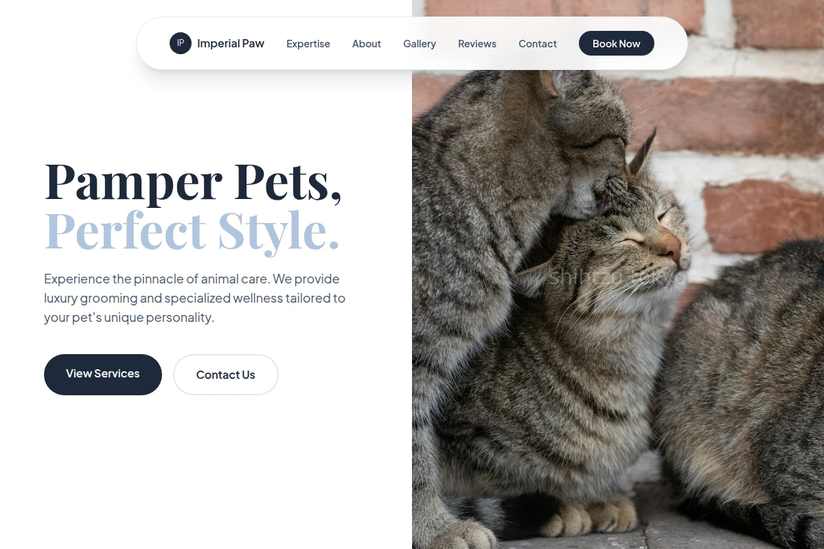 Bow Animal Care