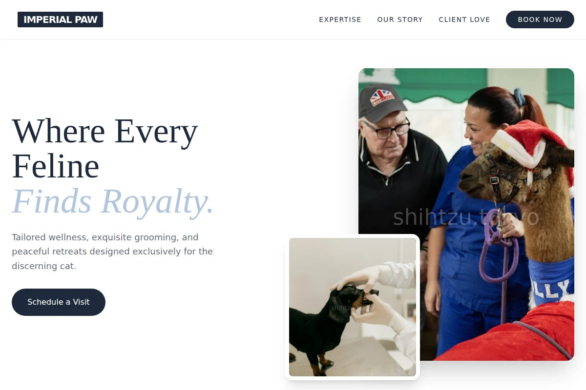 Feline Animal Care