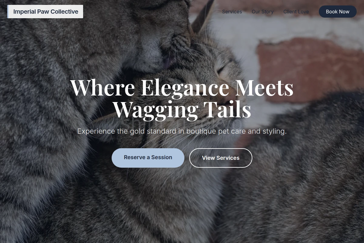 Boutique Animal Care