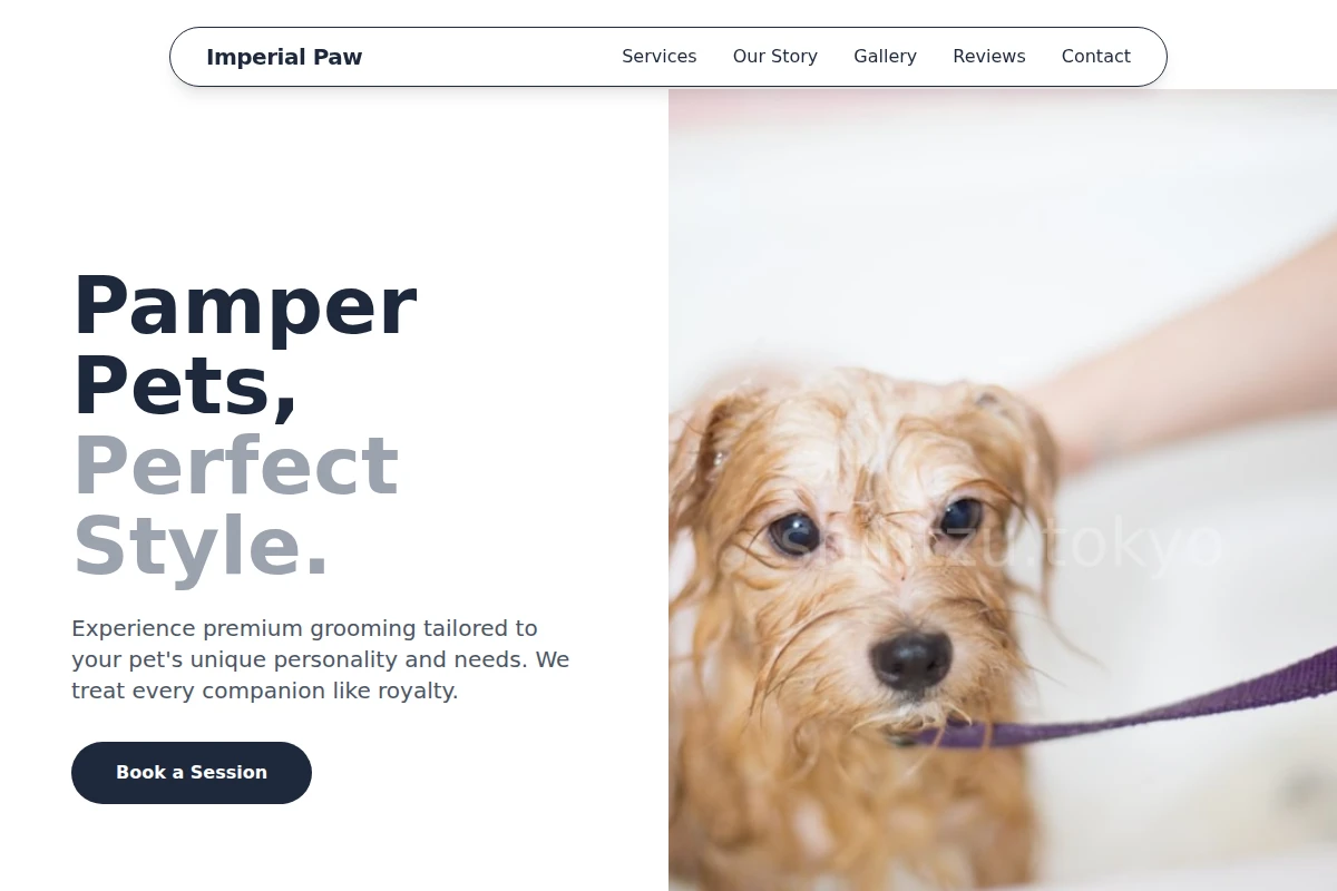 Pet Pet Grooming