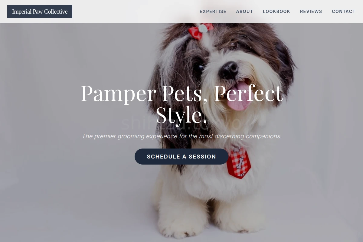 Pet Pet Grooming