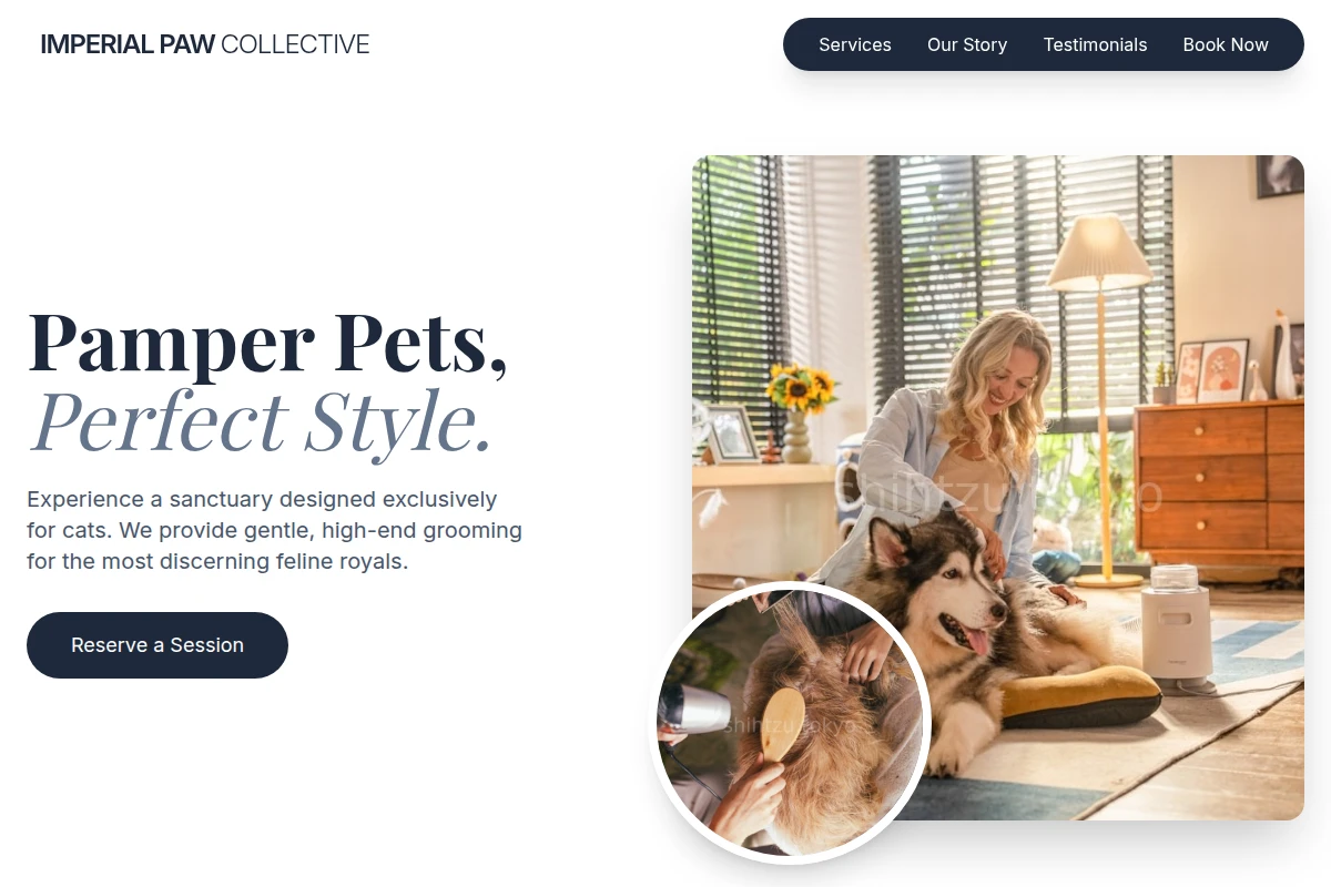 Feline Pet Grooming