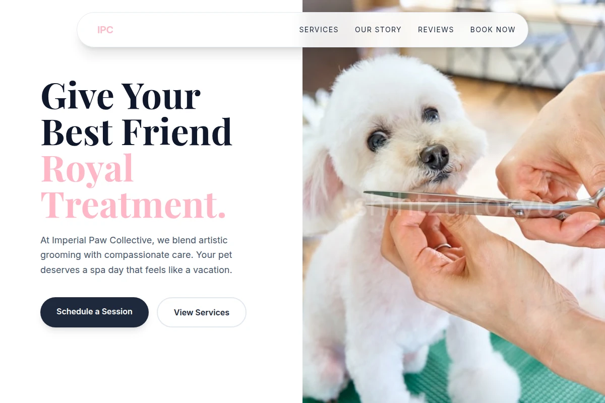 PetDesign Pet Grooming