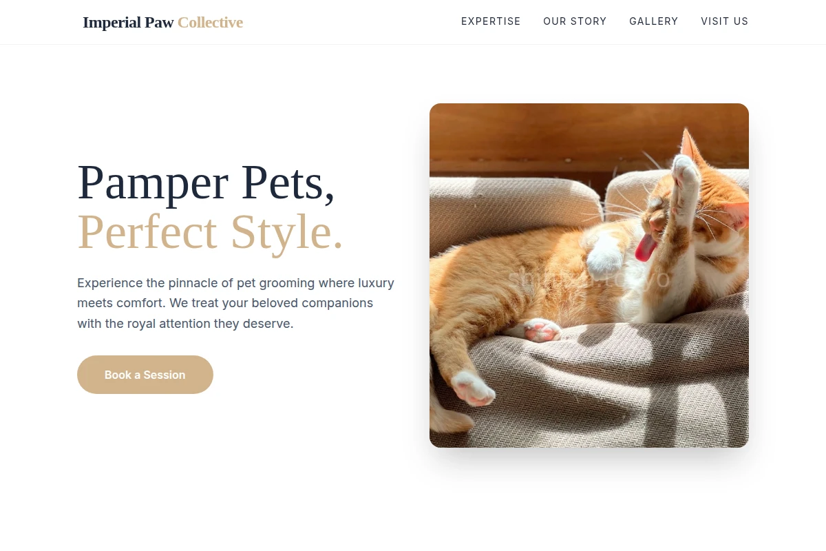pet-grooming