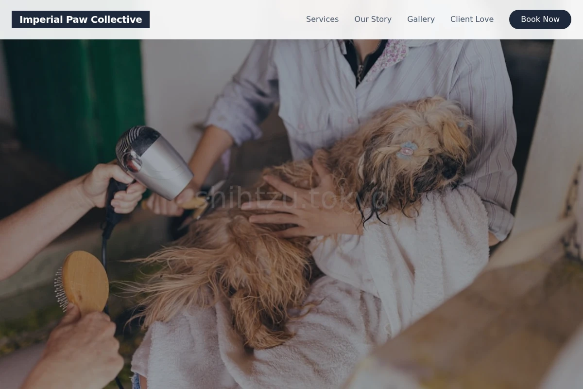 PetCare Pet Grooming