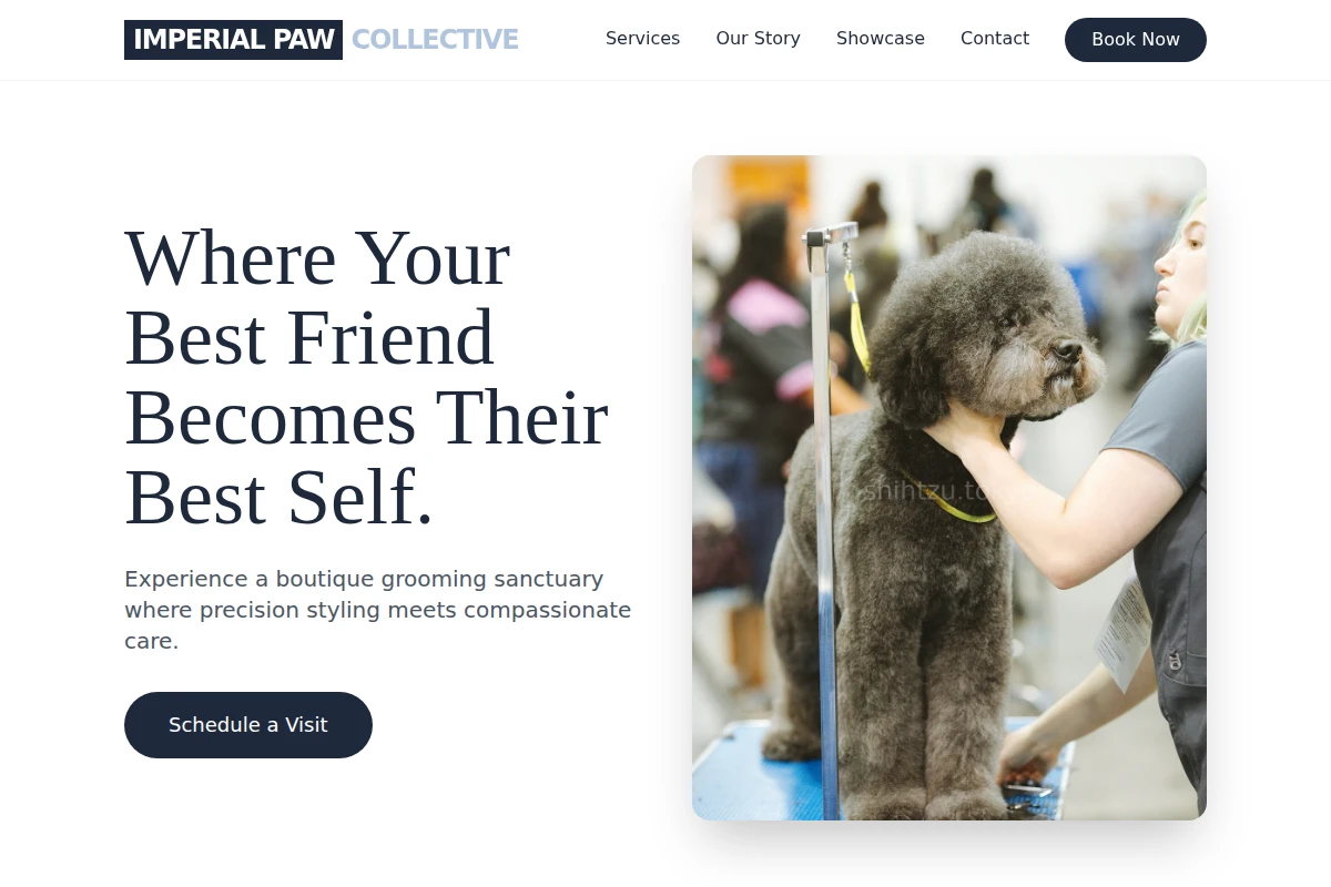 Groomer Pet Grooming