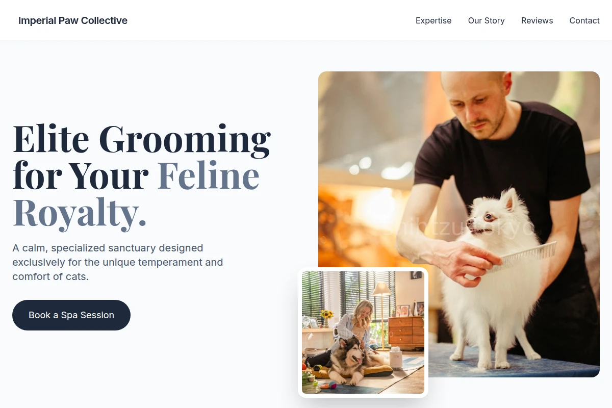 Feline Pet Grooming