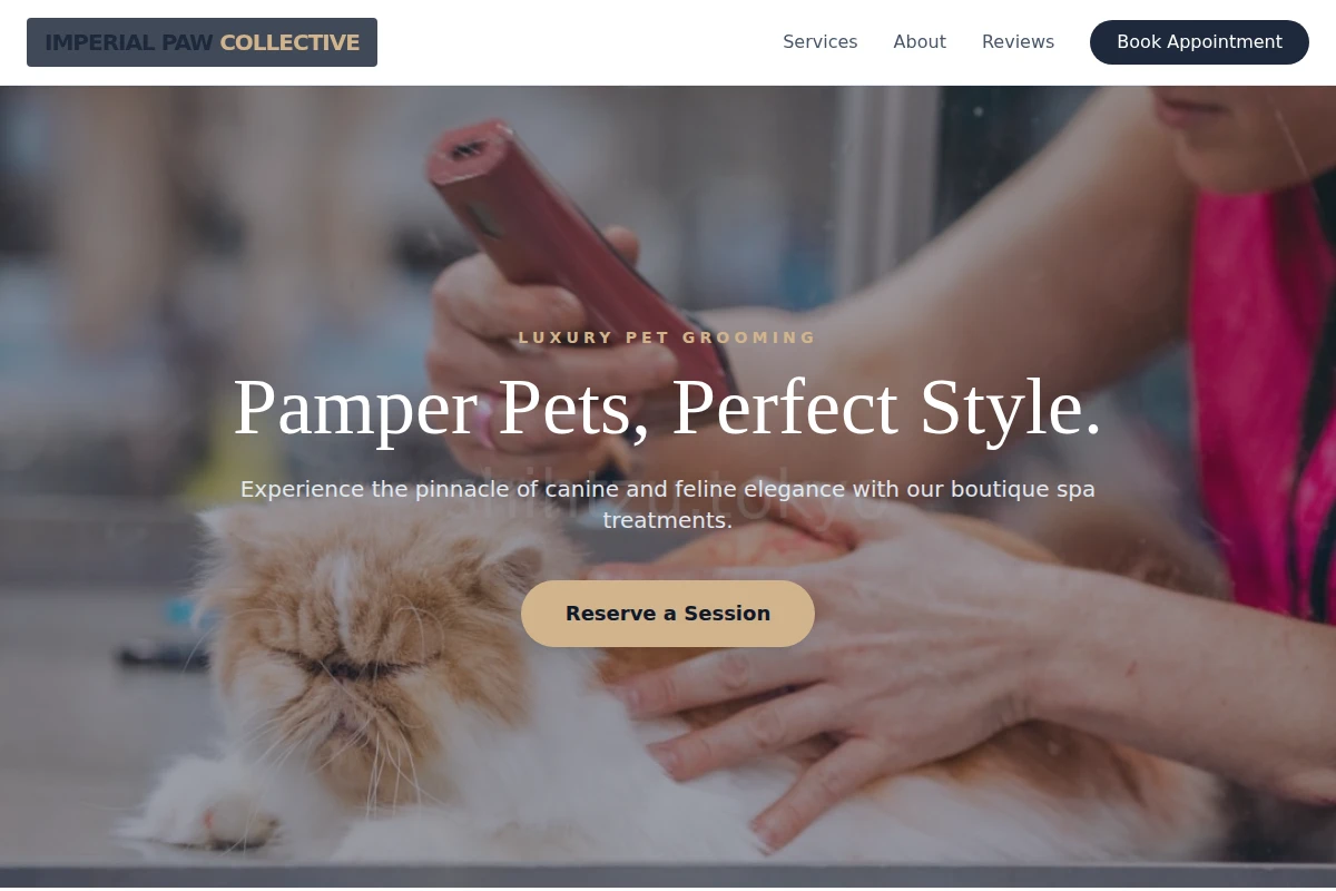 Groomer Pet Grooming