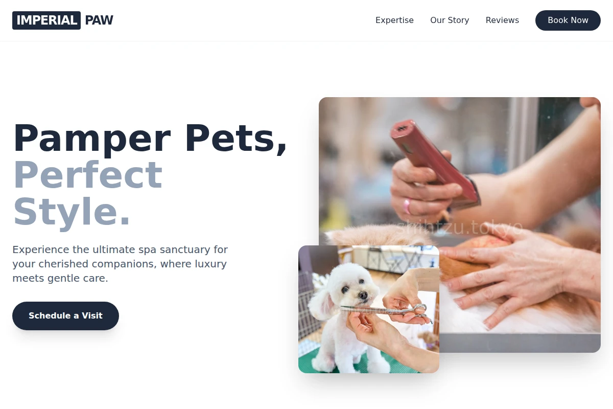 Meow Pet Grooming