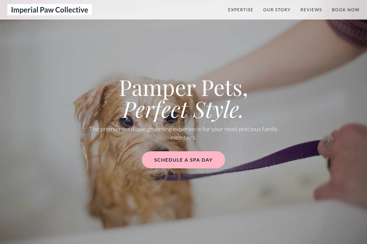 Puppy Pet Grooming