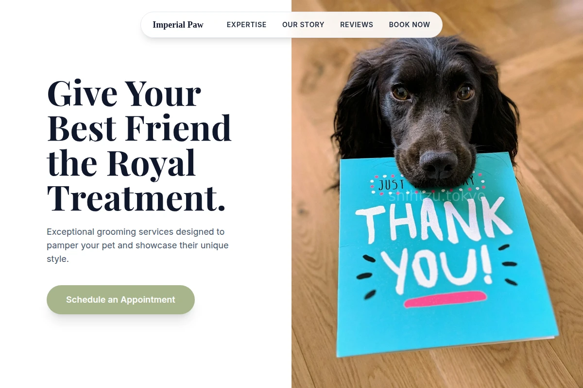 Treat Pet Grooming