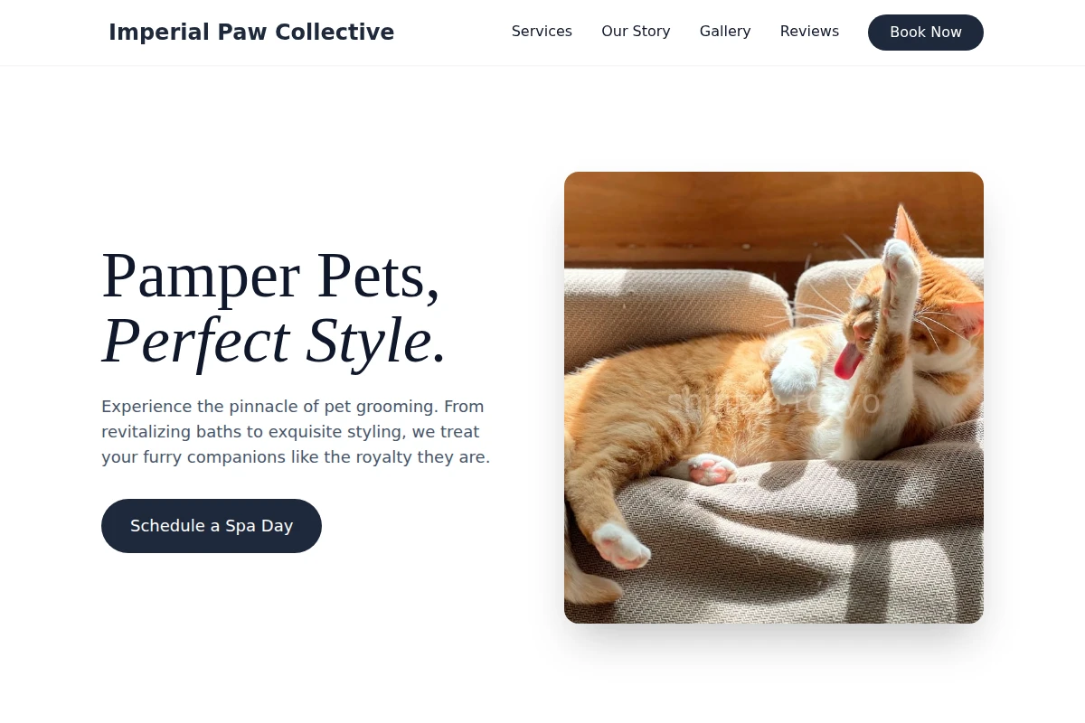 Meow Pet Grooming