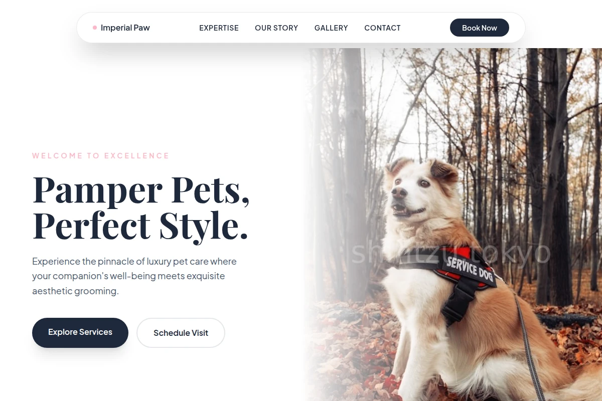 PetAura Pet Services