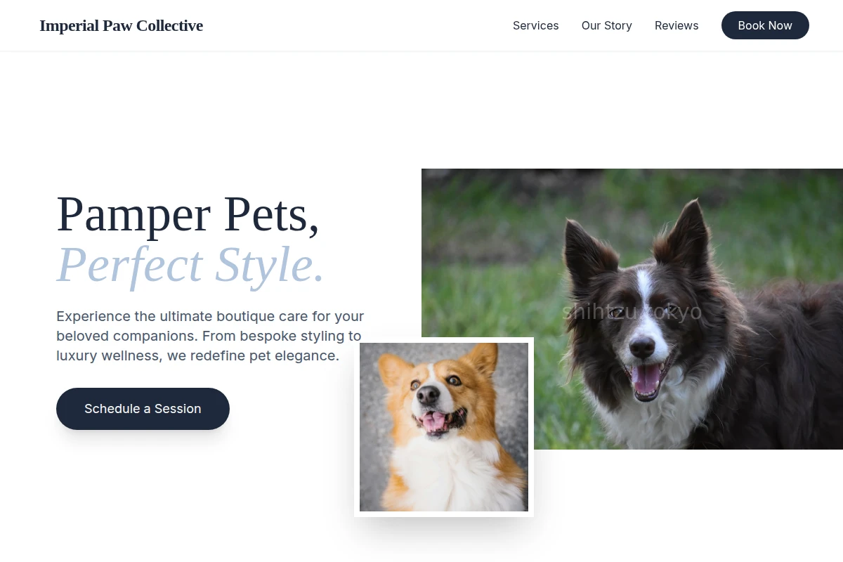 PetAura Pet Services