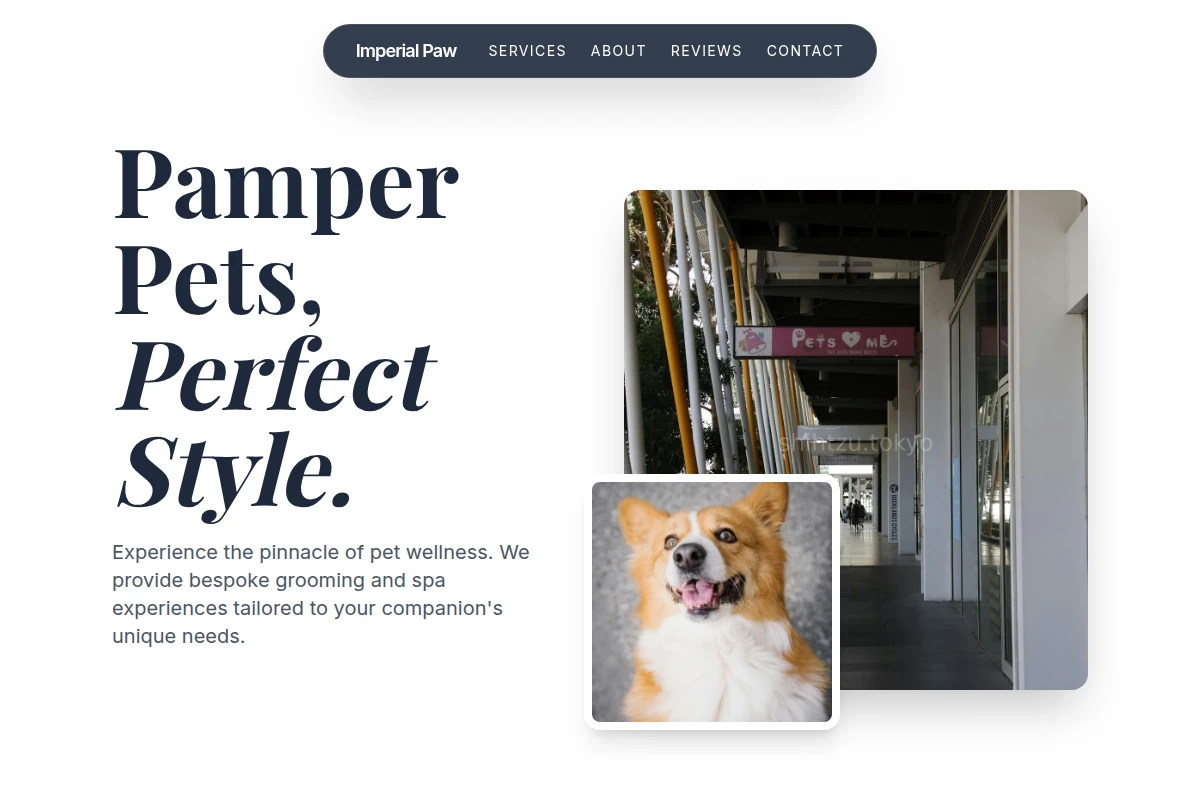 PetAura Pet Services