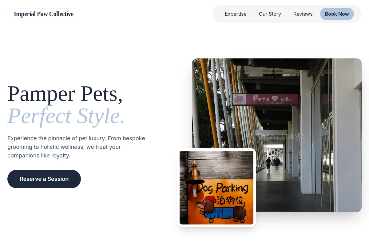 PetVibe Pet Services