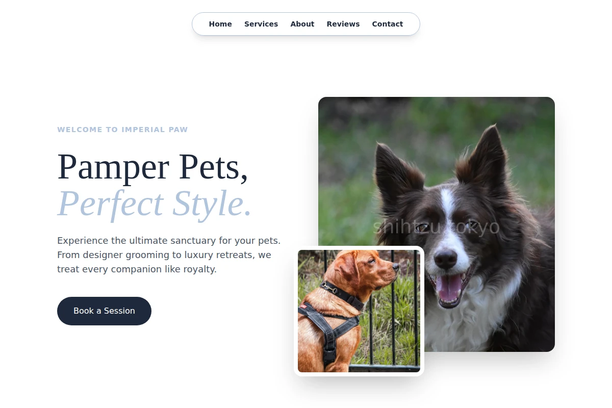 Wag Pet Services
