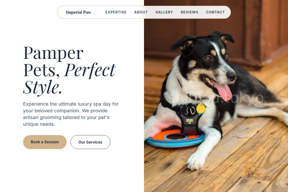 Groomer Pet Services