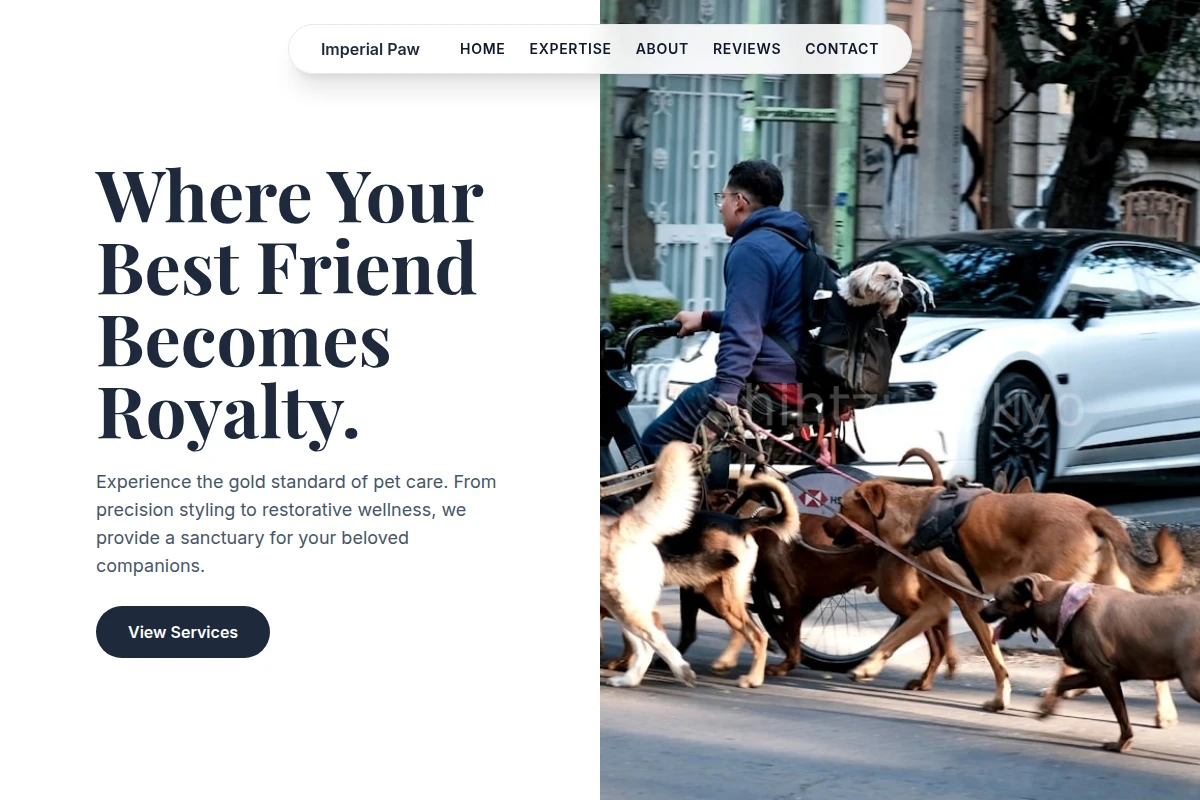 Treat Pet Services