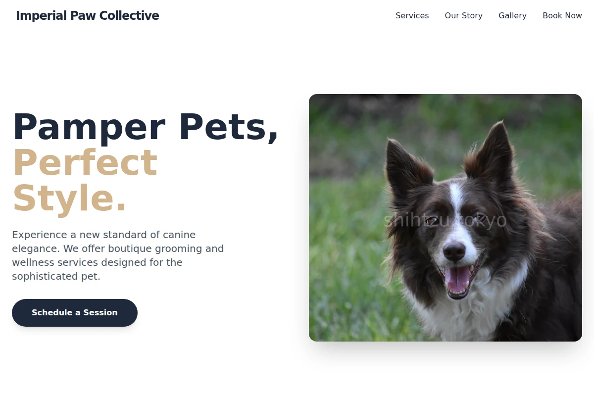 Bark Pet Services