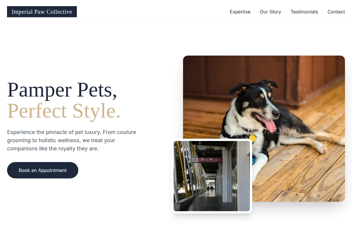 Paw Pet Services