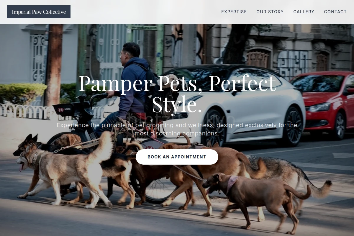 PetCare Pet Services