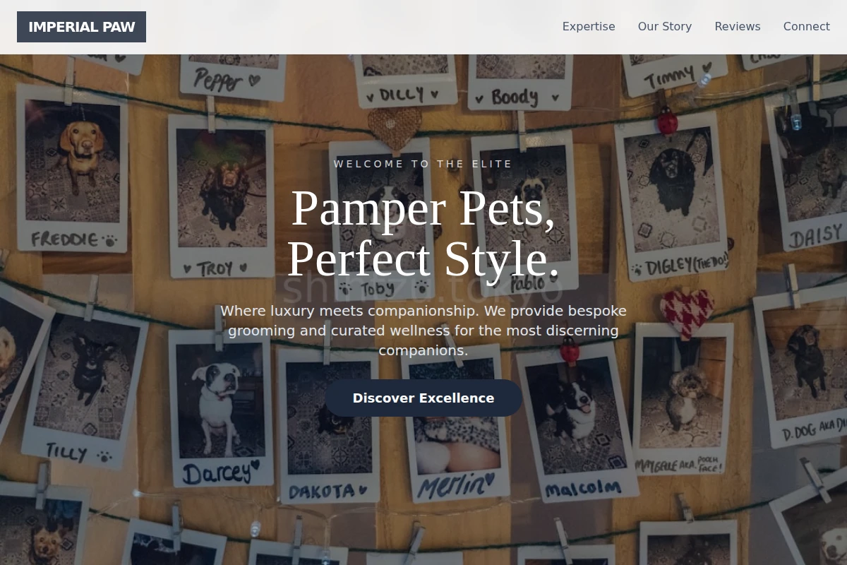 Meow Pet Shop