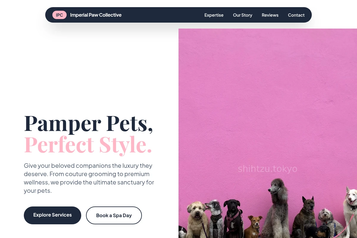 PetHub Pet Shop