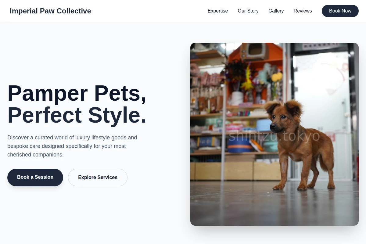 PetCare Pet Shop