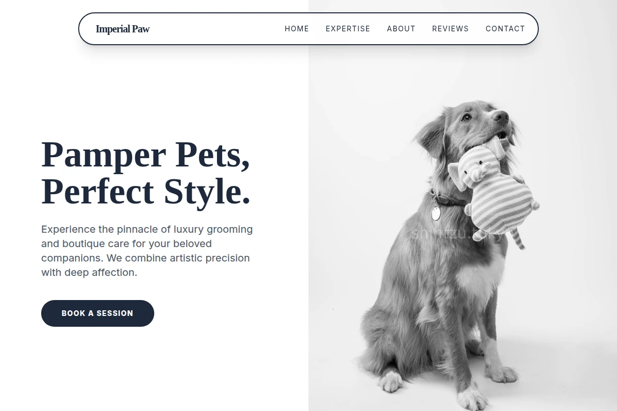 TokyoLife Pet Shop