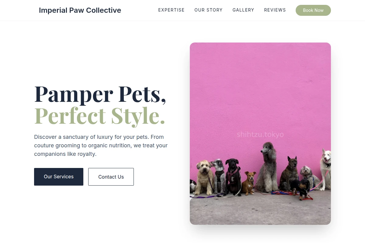 pet-shop