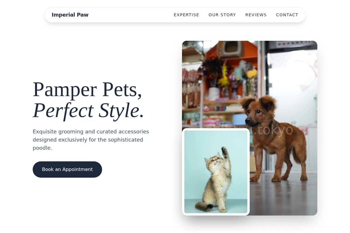 Poodle Pet Shop