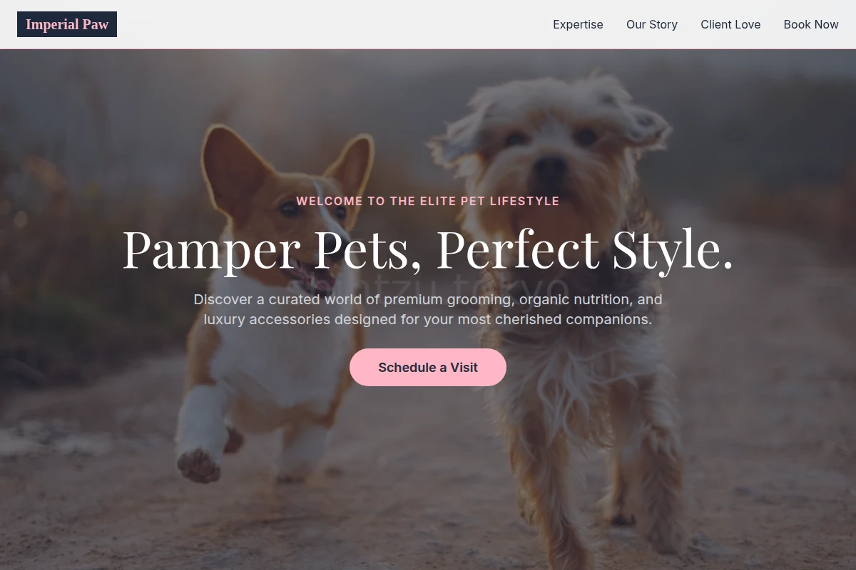 PetCare Pet Shop