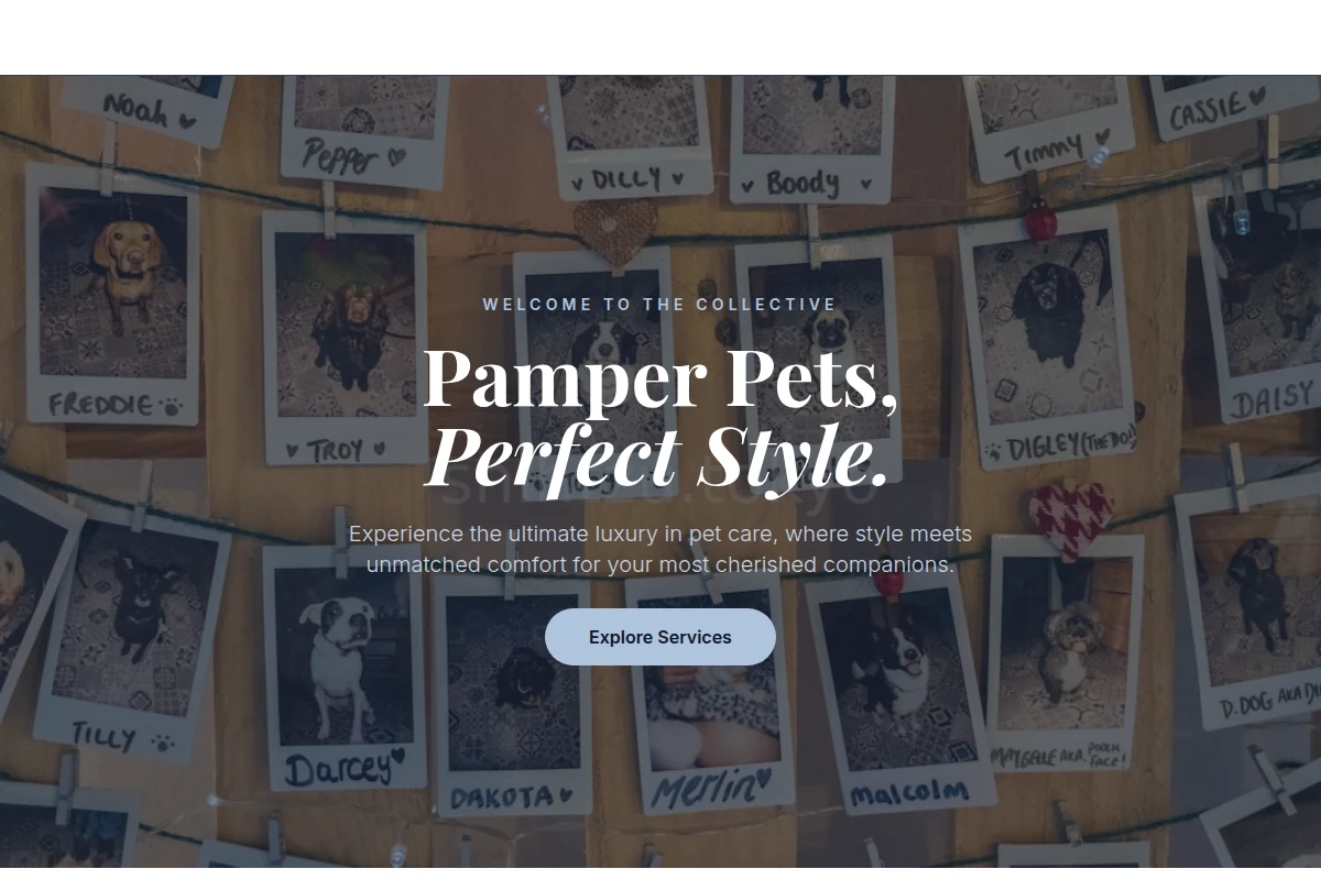 PetNiche Pet Shop